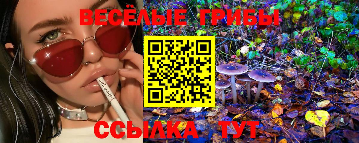 Озёры  Вход с VPN  MDMA  Кокаин  Меф МЯУ МЯУ   Каннабис  ГАШ 