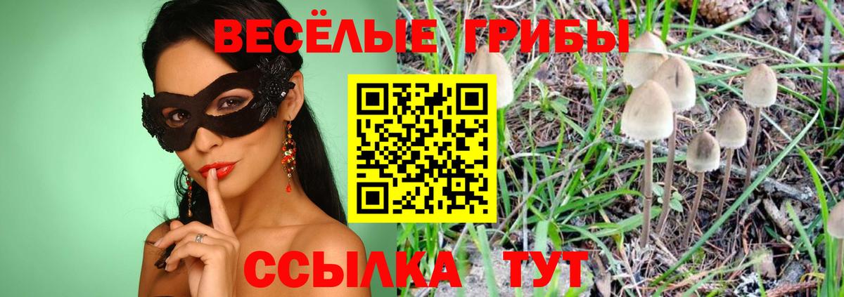 Псилоцибиновые грибы MAGIC MUSHROOMS  Галлюциногенные грибы прущие грибы  Вход с VPN  Озёры 